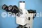 光学检测仪器 >> 金相显微镜 >> 金相显微镜  MD-100